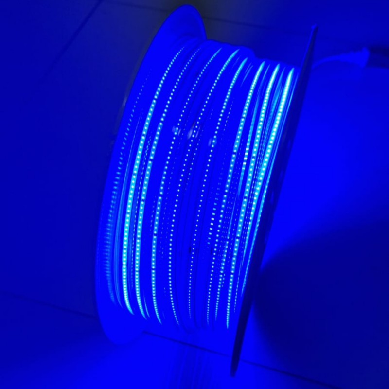 Manguera LED Azul 110V