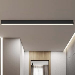 Ceiling Light